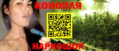 альфа пвп Волгодонск