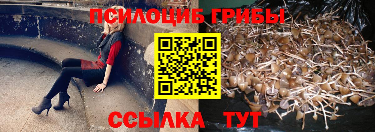 Галлюциногенные грибы MAGIC MUSHROOMS  Галлюциногенные грибы MAGIC MUSHROOMS  Вход с VPN  Новозыбков 